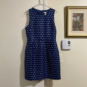 JCrew Polka-Dot Dress